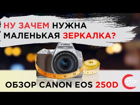 Видео: Кому нужна маленькая зеркалка? Обзор Canon EOS 250D, сравнение с беззеркалками M50, M200