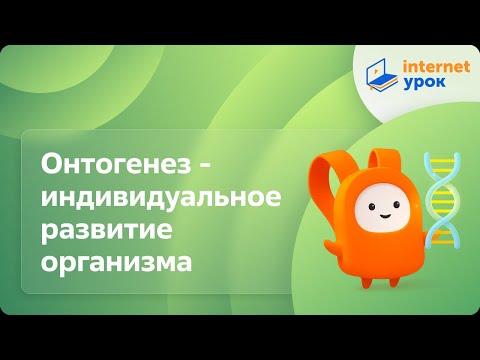 Видео: Онтогенез - индивидуальное развитие организма. Видеоурок по биологии 10 класс