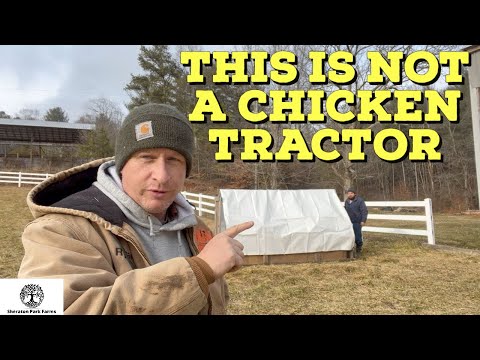 Видео: Руководство для начинающих по выращиванию индеек на пастбище — Трактор для выпаса индеек