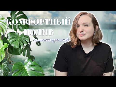 Видео: Как перестать беспокоиться о ПОЛИВЕ КОМНАТНЫХ РАСТЕНИЙ