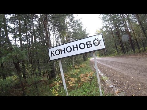 Видео: Осенний хариус/Много рыбы/Интересные истории