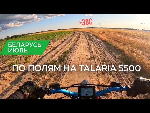 Видео: По красивым полям Беларуси на Таларии 5500🇧🇾