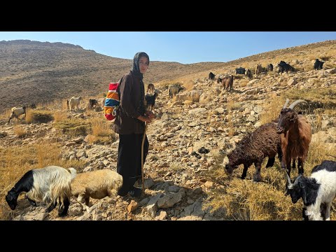 Видео: ⛰️Кочевая жизнь в горах: повседневная жизнь пастушки с овцами среди нетронутой природы🐑