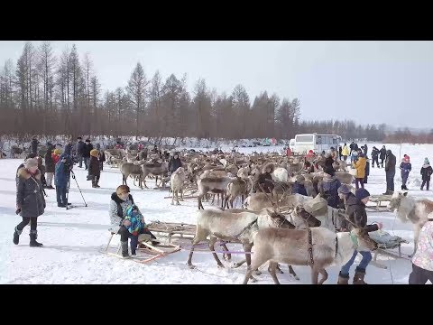 Видео: Наследие Эвенкийского Народа