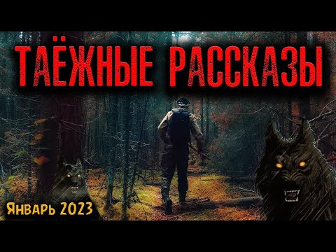 Видео: ТАЁЖНЫЕ РАССКАЗЫ | Страшные истории