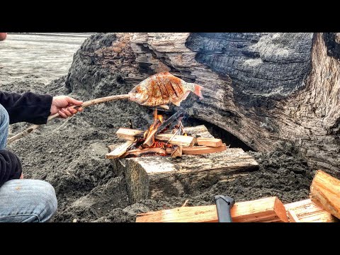 Видео: ДИКАЯ рыбалка на серф-окуня. ПОЙМАЙ И ПРИГОТОВЬ на пляже. Зажаренный на огне краснохвостый серф-о...