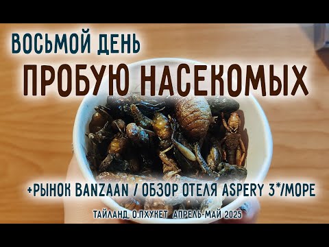 Видео: Пробую насекомых в Тайланде!/Banzaan с ценами 01.05.2025