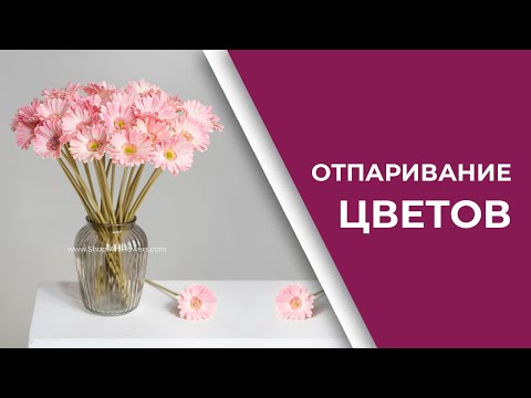 Видео: КАК ОТПАРИТЬ (РАСПРАВИТЬ) ИСКУССТВЕННЫЕ ЦВЕТЫ |  СИЛИКОН, ЛАТЕКС, ТКАНЬ | ВИДЕО ИНСТРУКЦИЯ