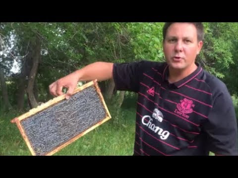 Видео: Канадский фермер - 22