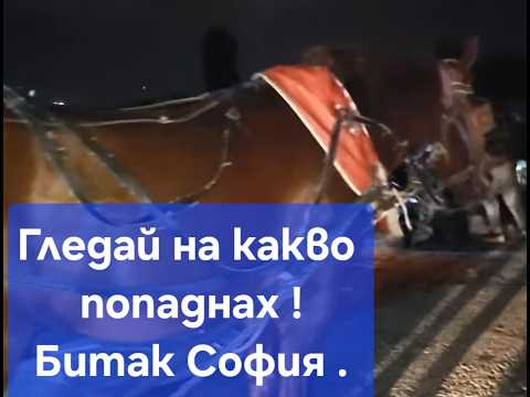 Видео: Съкровище на битака .Софийски битак