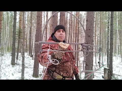 Видео: Охота капканами.Установка капканов,Ка 2!
