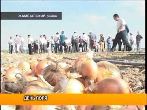 Видео: Капельное орошение (часть 2)