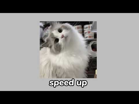 Видео: Alexander Rybak - {Котик}/ {Kotik}  "speed up"