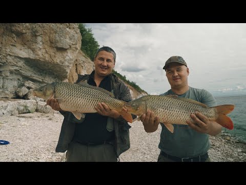 Видео: КАМСКИЕ ТРОФЕИ. Несколько дней дикарями на берегу КАМСКОГО УСТЬЯ