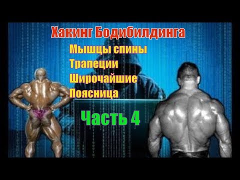 Видео: Как накачать мышцы спины. Лучшие упражнения. Техника. Часть 4. Хакинг Бодибилдинга