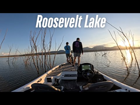 Видео: Ловля окуня в сложных условиях! Рыбалка в конце лета на озере Рузвельт