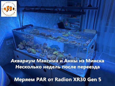 Видео: Меряем Ecotech Radion XR30. Морской Аквариум Максима и Анны.