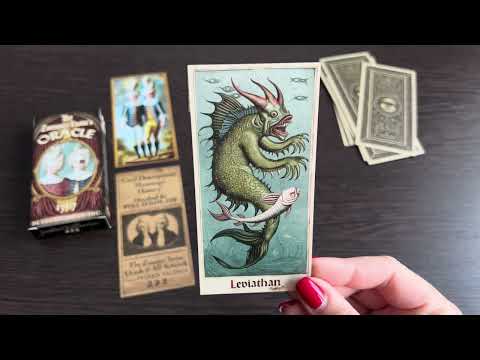 Видео: Распаковка Оракул близнецов Заммер, The Zammer Twin’s Oracle 🥳👻🥰