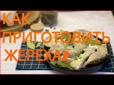 Видео: Как приготовить жереха? ЛУЧШИЙ РЕЦЕПТ!!!