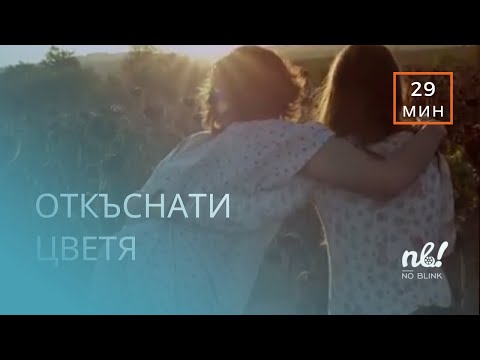 Видео: Откъснати цветя (2016) - къс филм