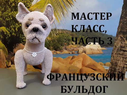 Видео: ФРАНЦУЗСКИЙ БУЛЬДОГ КРЮЧКОМ, МАСТЕР КЛАСС, ЧАСТЬ 3