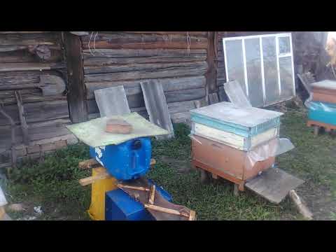 Видео: Как навсегда вылечить пчёл от аскофероза!