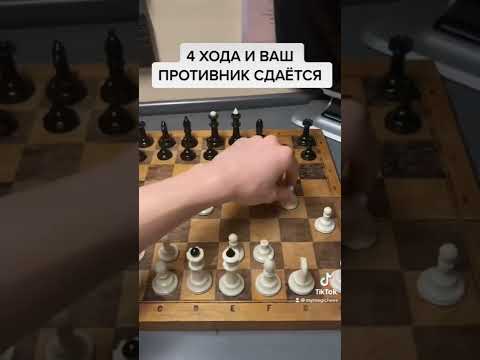 Видео: Классная ловушка в 4 ХОДА! #шахматы #шахматныеловушки #шахматыдлявсех #ifvfns