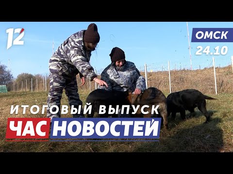 Видео: Готовят щенков к службе / Крысы захватили контейнерные площадки / Модная столица. Новости Омска