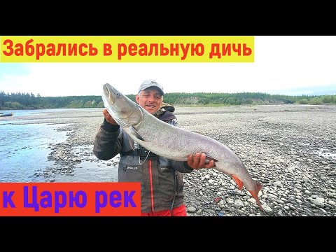 Видео: ТАЙМЕНИ ЯКУТИИ! МЫ ДОБРАЛИСЬ ДО НИХ! МОИ РЕКОРДЫ.