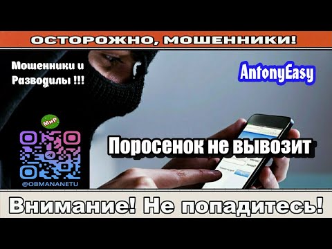 Видео: Мошенники звонят по телефону / Поросенок не вывозит ( сборник ).
