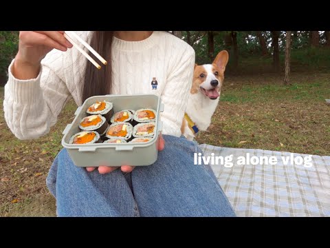 Видео: жить один, видеоблогㅣСобираем ланч-бокс с кимбапом и отправляемся на пикник