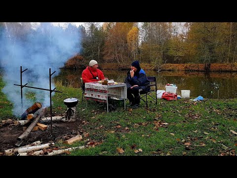 Видео: Попали на Раздачу Леща! Вот Это Рыбалка с Ночевкой! Отличный Клев Леща на Фидер Ночью. ЧАСТЬ I.