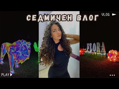 Видео: ВЛОГ | ФЕСТИВАЛ НА СВЕТЛИНИТЕ, ВОЛЕЙБОЛ, РЕЦЕПТИ