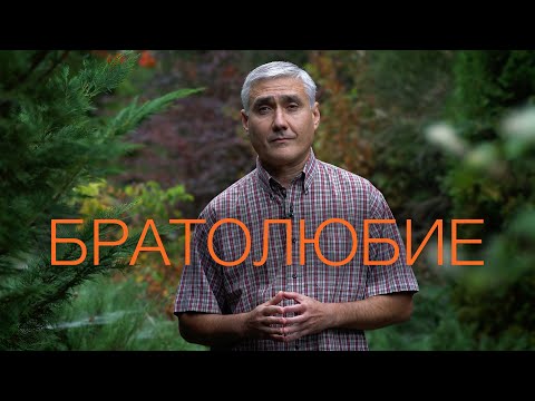 Видео: Братолюбие