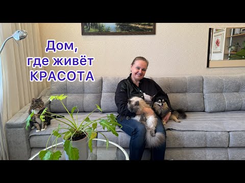 Видео: В гостях у Светланы🌸 Морошка, Софа, Челси и цветы🪴