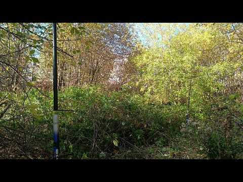 Видео: Ловля на воде, первая часть.24.09.2023.