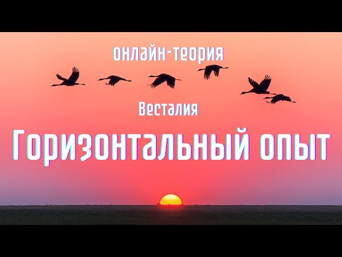 Видео: Зачем нужен горизонтальный опыт #опыт #родоваяматрица #Весталия #школаСорадение