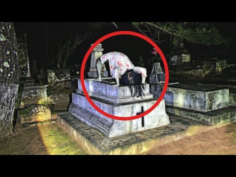 Видео: Жуткое Существо Страшные Видео и Страшилки