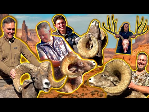 Видео: Могучие толстороги Ла-Пальмосы | Овечья лихорадка (эп. 1) | От лесных массивов до вершин гор