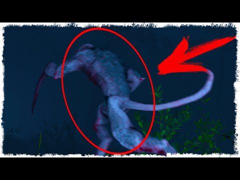 Видео: ОН ОБИДЕЛСЯ И УШЕЛ... IN SILENCE!!!