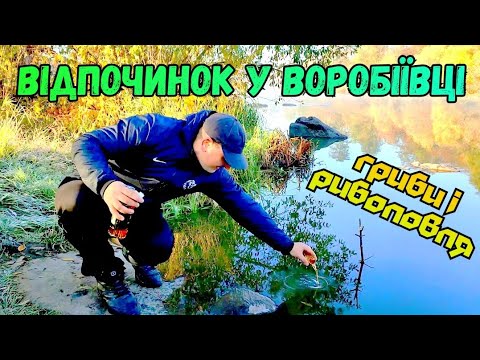 Видео: ВІДПОЧИНОК У ВОРОБІЇВЦІ З ЕЛЕМЕНТАМИ РИБОЛОВЛІ І ЗБІР ГРИБІВ \ ПІВДЕННИЙ БУГ