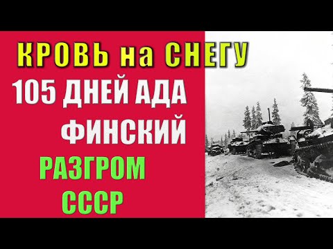Видео: Кровь на снегу: как 4 миллиона финнов остановили империю
