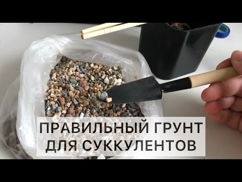 Видео: Правильный грунт для суккулентов