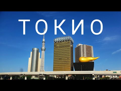 Видео: Токио - путеводитель по самому большому городу мира