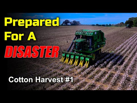 Видео: Готовы к катастрофе... Урожай хлопка №1