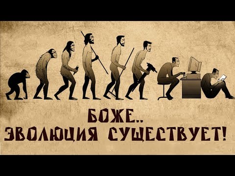 Видео: Что такое эволюция? Биолог Евгений Шмуклер на QWERTY