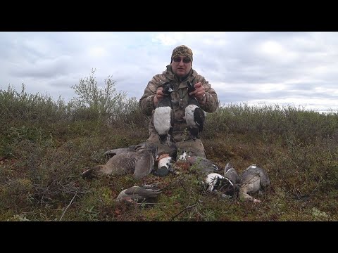 Видео: ОХОТА НА УТОК И ГУСЕЙ / DUCK AND GOOSE HUNTING