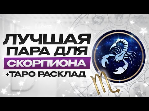 Видео: ИЩЕМ ПАРУ Скорпиону! / С какими знаками зодиака лучше всего совместимы Скорпионы?