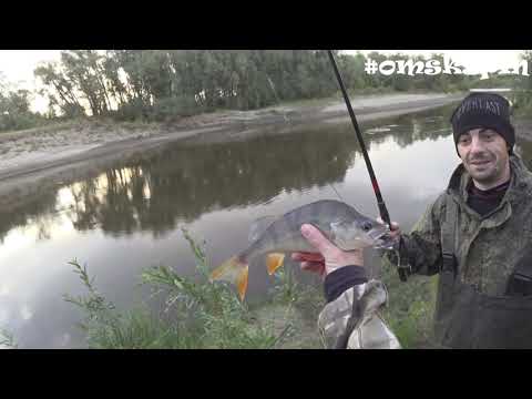 Видео: OmskSpin #102. Рыбалка на р. Тара в Муромцевском районе. Два дня на омутах, поворотах и ямах реки.