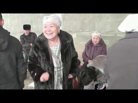 Видео: Беташар той